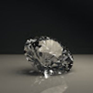 Meet your Posher, Lizzie